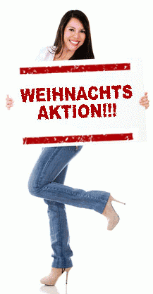 Gnsebraten zu Weihnachten in Berlin